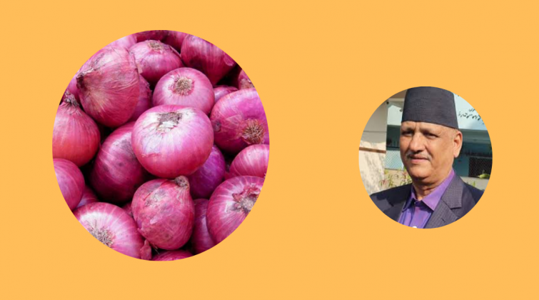 मन्त्री भट्ट ग्राहक बनेर  पसल पसलमा